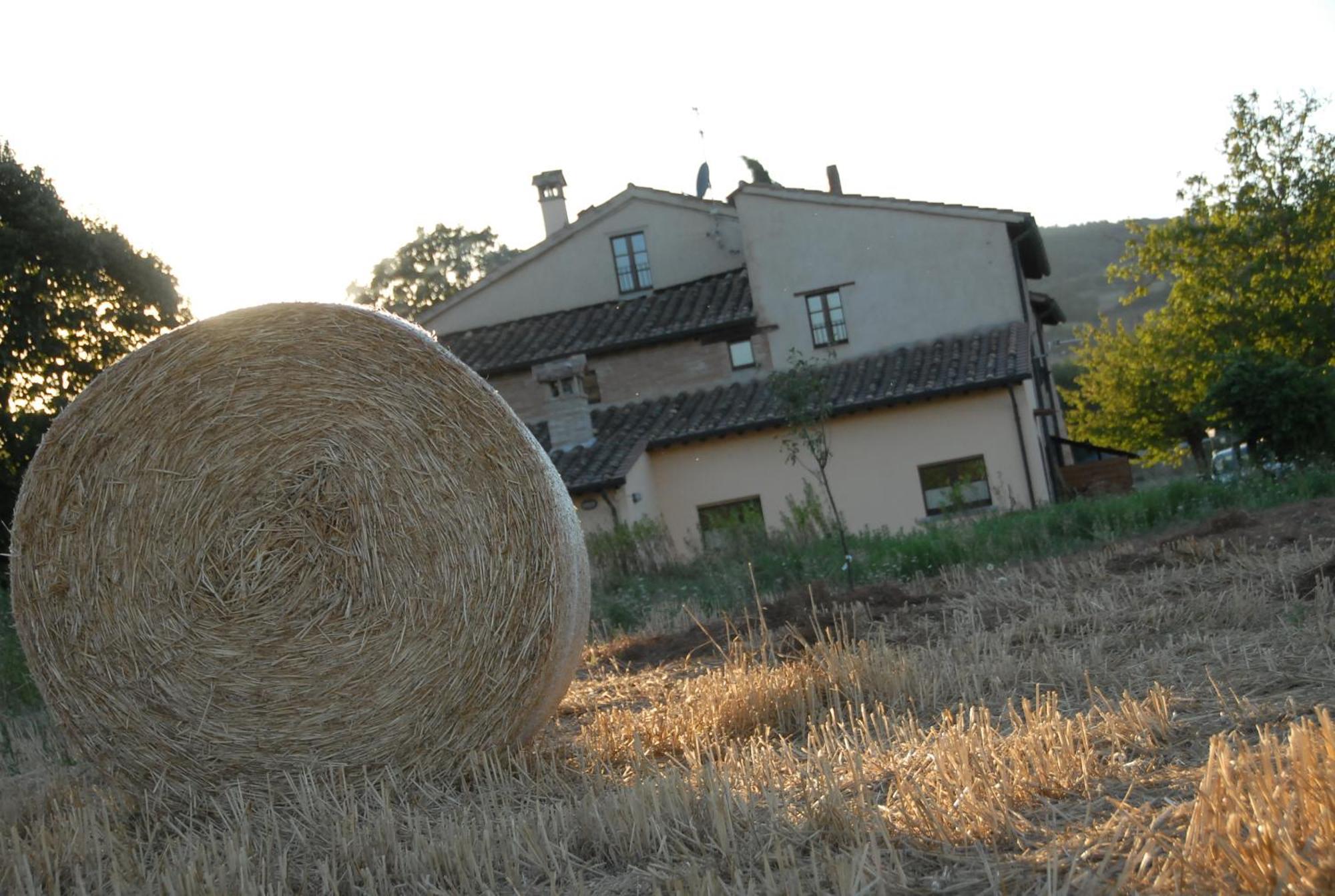 Molenda B&B Citta di Castello Bagian luar foto